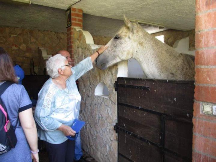 Quinta Ribeiro Tanquinhos Konuk evi Tancos Dış mekan fotoğraf