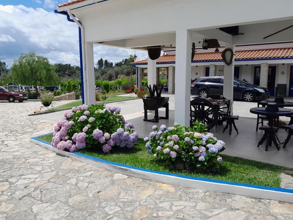 Quinta Ribeiro Tanquinhos Konuk evi Tancos Dış mekan fotoğraf