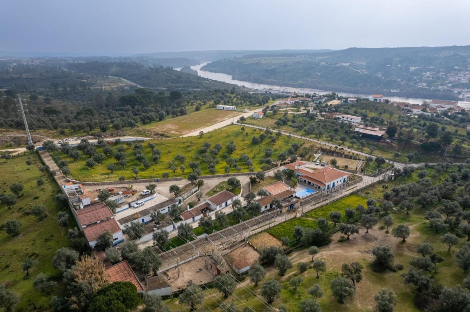Quinta Ribeiro Tanquinhos Konuk evi Tancos Dış mekan fotoğraf