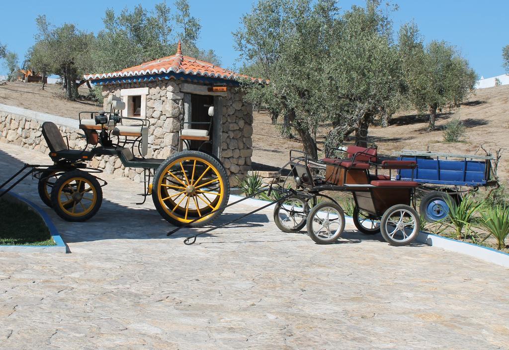 Quinta Ribeiro Tanquinhos Konuk evi Tancos Dış mekan fotoğraf