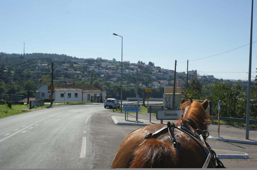 Quinta Ribeiro Tanquinhos Konuk evi Tancos Dış mekan fotoğraf