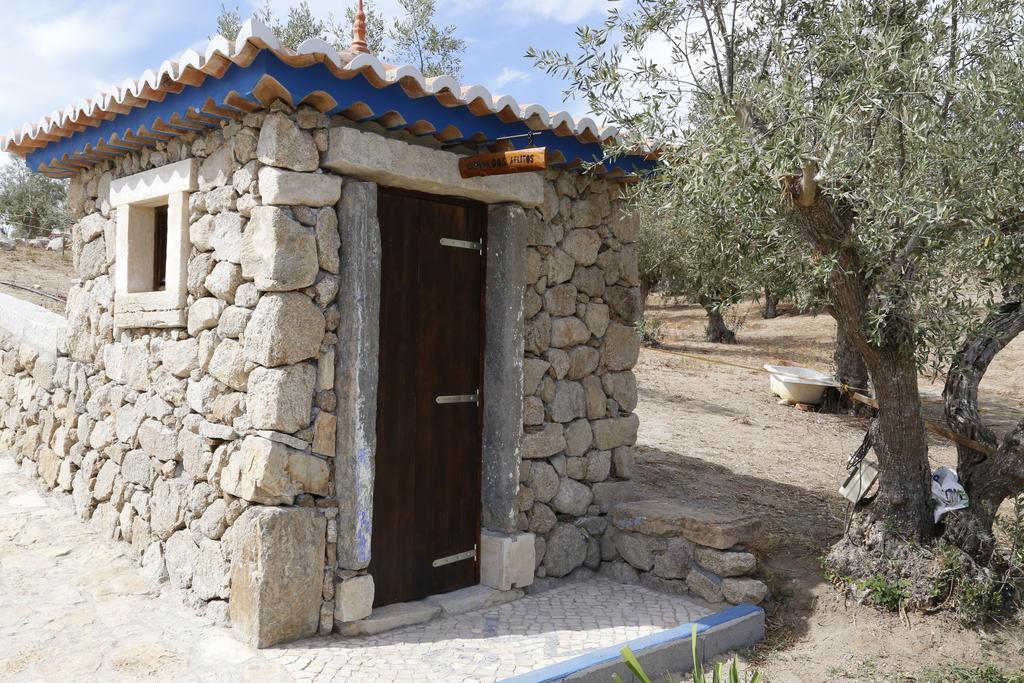 Quinta Ribeiro Tanquinhos Konuk evi Tancos Dış mekan fotoğraf