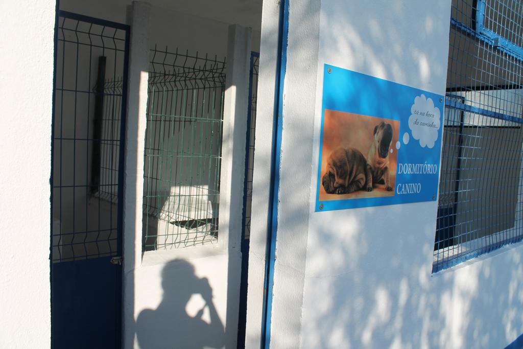 Quinta Ribeiro Tanquinhos Konuk evi Tancos Dış mekan fotoğraf