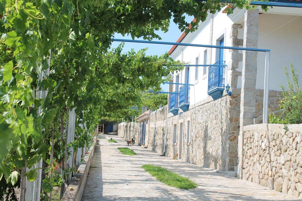 Quinta Ribeiro Tanquinhos Konuk evi Tancos Dış mekan fotoğraf
