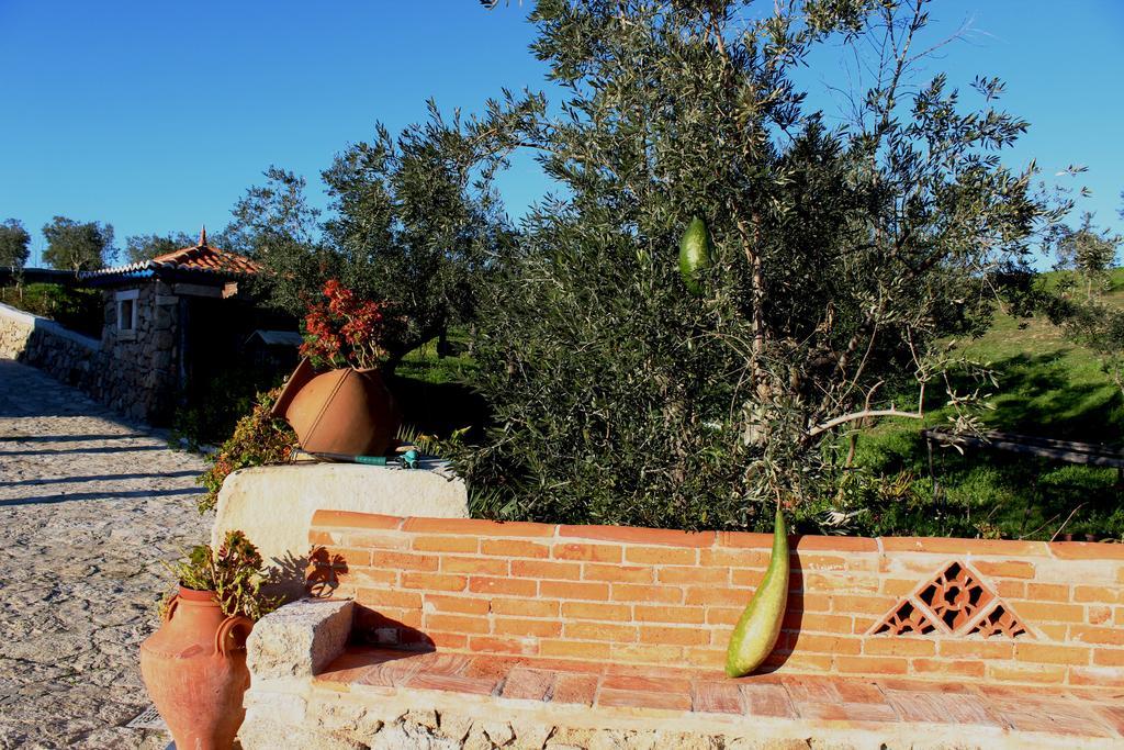 Quinta Ribeiro Tanquinhos Konuk evi Tancos Dış mekan fotoğraf