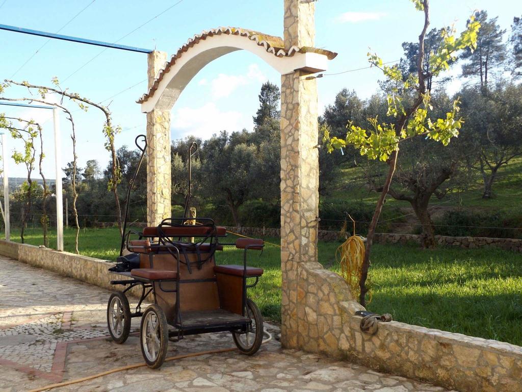 Quinta Ribeiro Tanquinhos Konuk evi Tancos Dış mekan fotoğraf