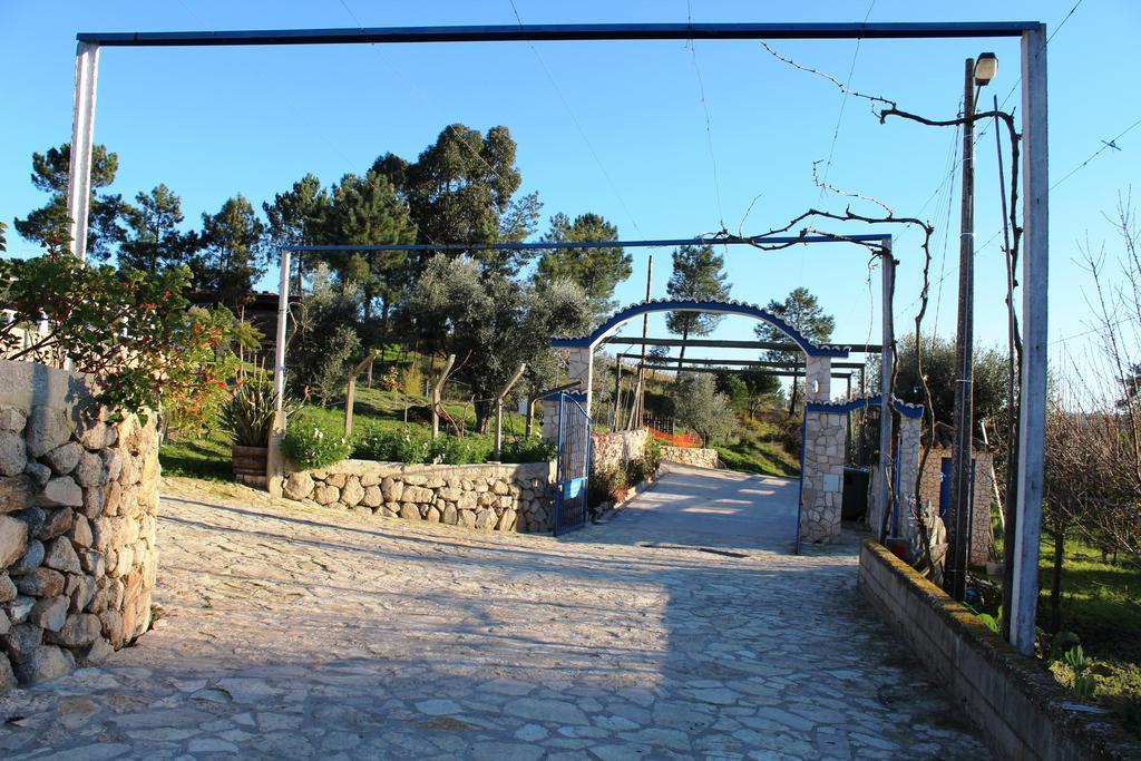 Quinta Ribeiro Tanquinhos Konuk evi Tancos Dış mekan fotoğraf
