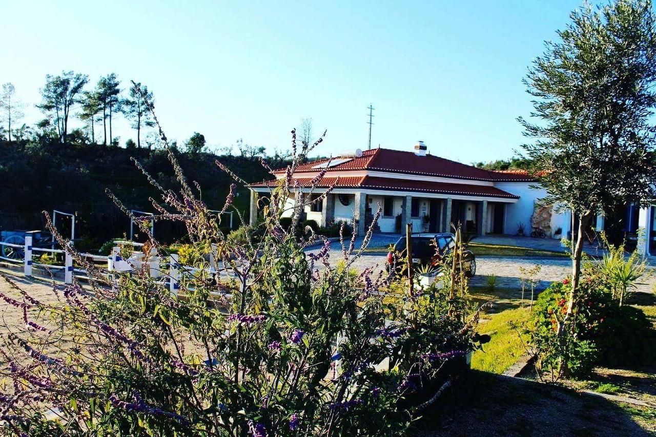 Quinta Ribeiro Tanquinhos Konuk evi Tancos Dış mekan fotoğraf
