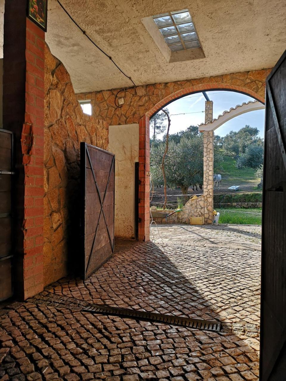 Quinta Ribeiro Tanquinhos Konuk evi Tancos Dış mekan fotoğraf