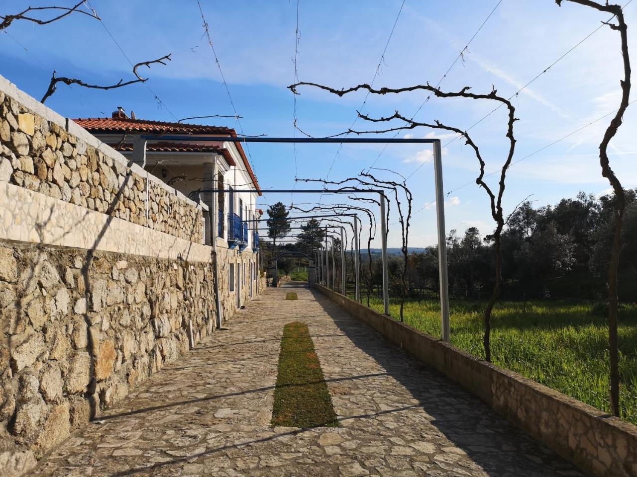 Quinta Ribeiro Tanquinhos Konuk evi Tancos Dış mekan fotoğraf